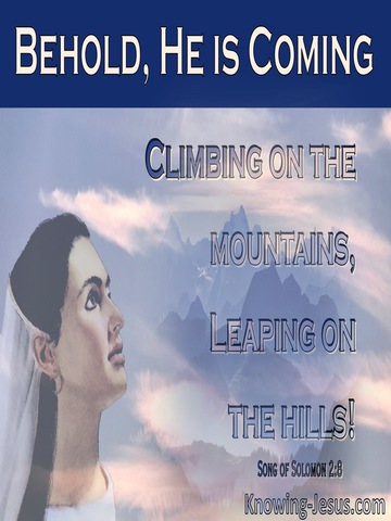 Song of Solomon 2-8 He Comes Climbing The Mountain, Leaping On The Hills (pink)